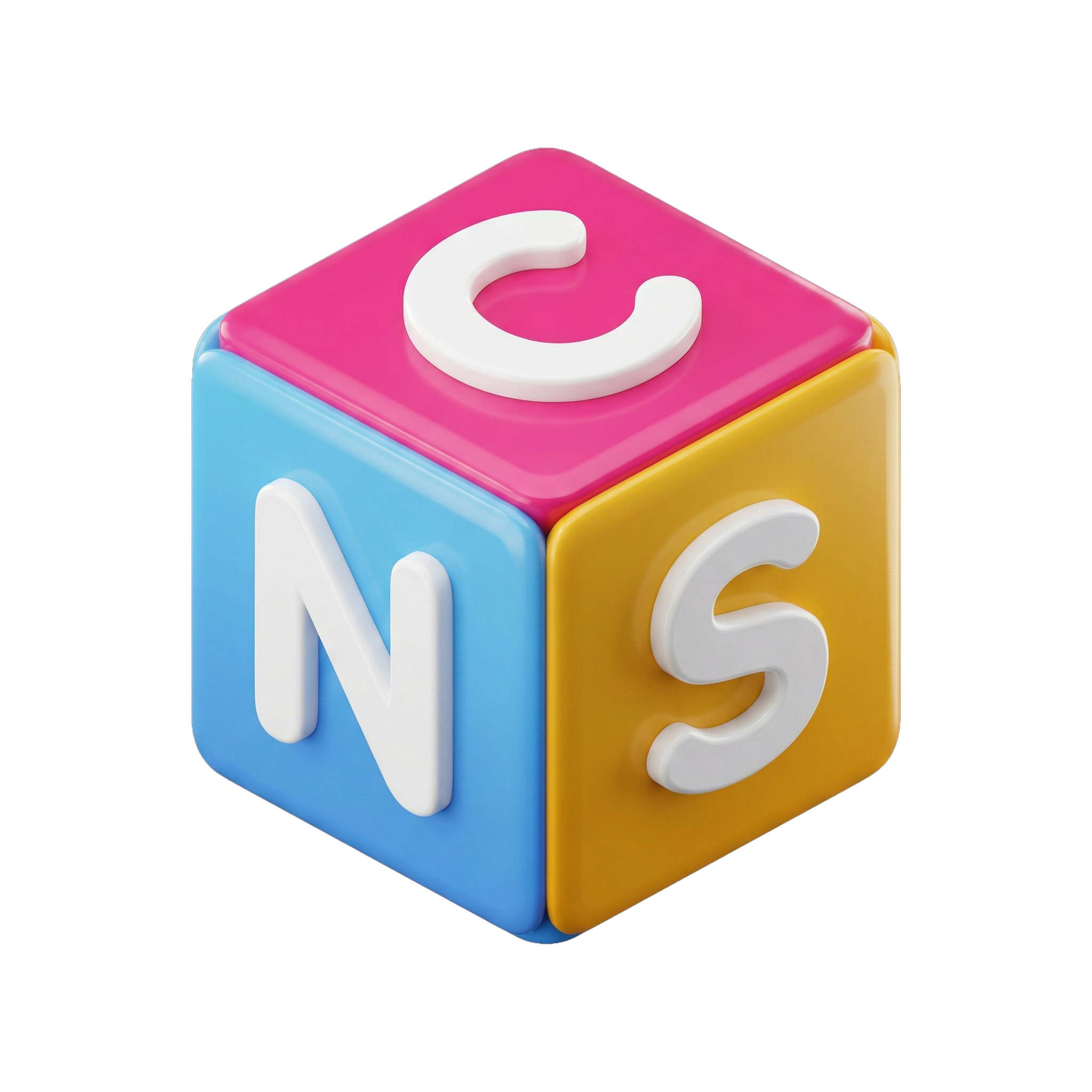 NaCoSoft logo